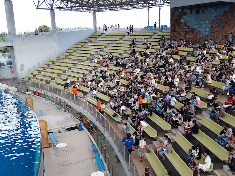 Dolphin Show Hakkeijima Sea Paradise in Yokohama