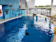 Dolphin Show in Hakkeijima Sea Paradise in Yokohama