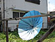 Blue Umbrella in Minami Karuizawa in Nishi-ku Yokohama