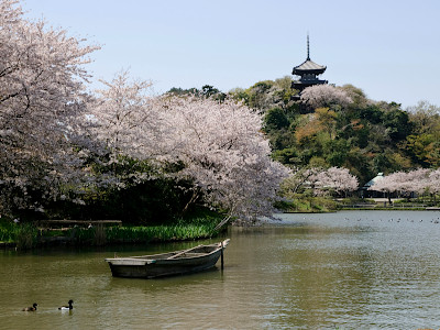 Sankeien Garden in Yokohama