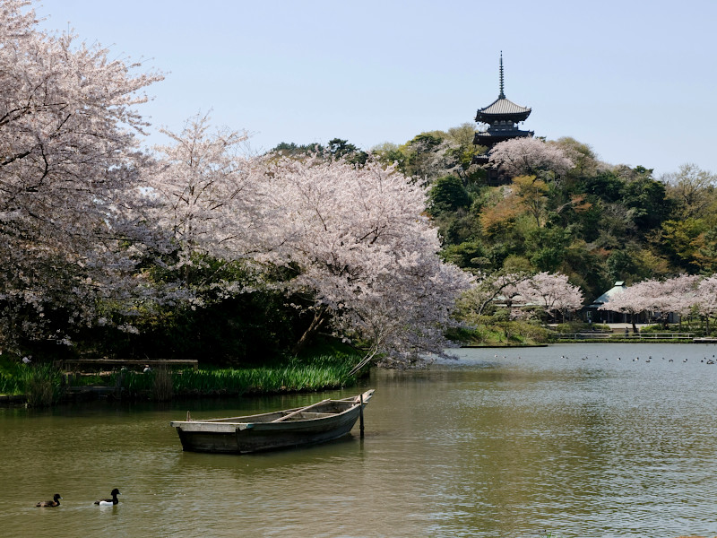 Sankeien Garden