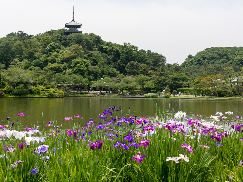 Sankeien Garden in Yokohama