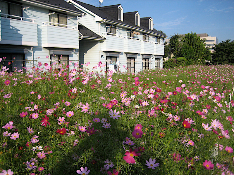 Tsurumi Residential Area in Yokohama